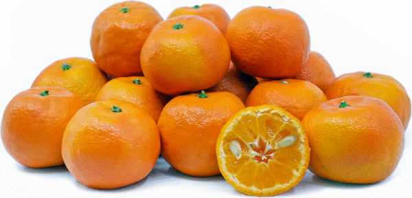 Algerian Oranges