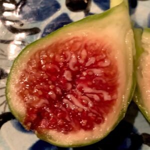 Algerian Figs