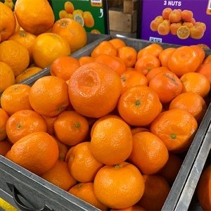 Algerian Tangerines