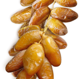 Dattes Premium Deglet Nour