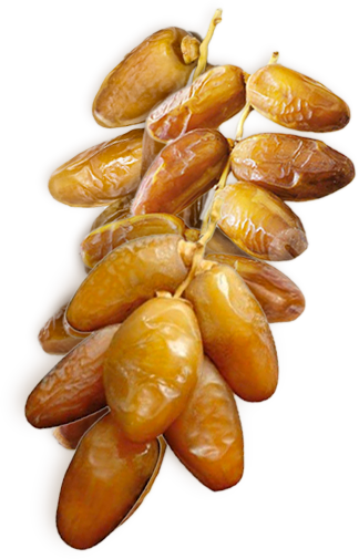 Dattes Premium Deglet Nour