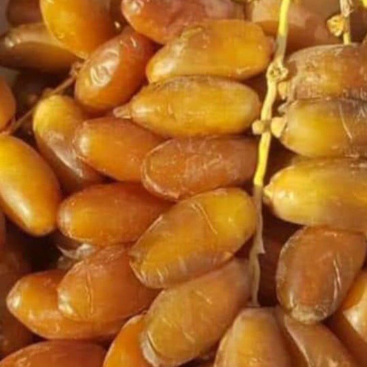 Dattes Premium Deglet Nour – Image 2