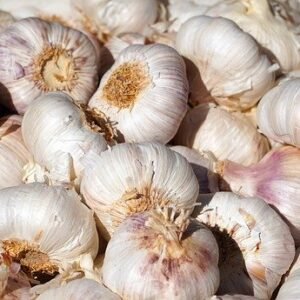 Ail frais