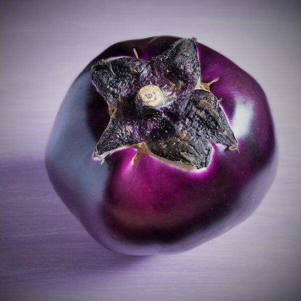Aubergine