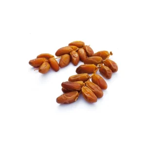 Dattes sèches en branche